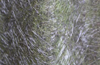 Marehay fibreglass roof work